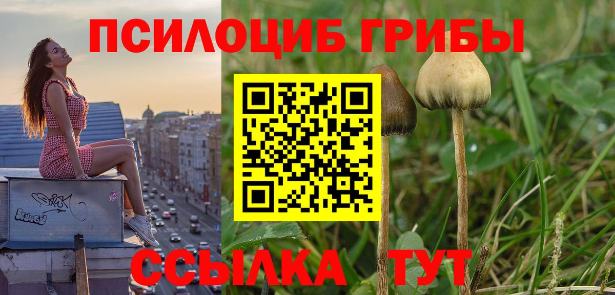 Псилоцибиновые грибы мухоморы Изобильный